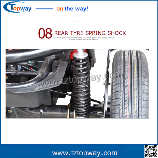 electric mobility tricycle Front tyre 60/65-8 Rear tyre120/50-9 city drive