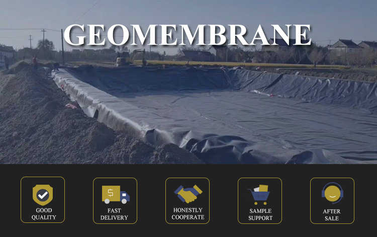 HDPE Black Fish Farm Pond Fish Liner Plastic Geomembrane High Surface Hardness