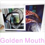Large Size Custom Fireproof Advertising PVC Banners