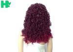 Kinky Curly Long Synthetic Wigs Natural Hair Line Mixed Color For Women