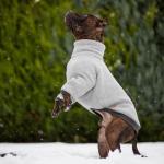Buy cheap 100% Polyester Raglan Puppy Dog Sweaters For French Bulldogs from wholesalers
