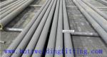 1/8-72 Inch Stainless Steel Welded Pipe GOST 9940-81GOST 9941-81 Standard ANIS