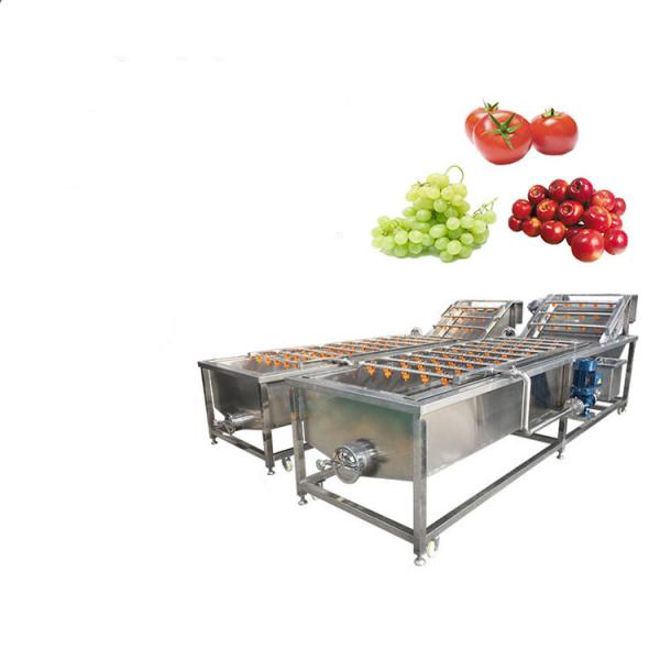 Buy cheap 1200kg/H Apple Pear Mango Fruits And Vegetables Cleaning Machines from wholesalers