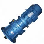 High Speed Compact Cycloidal Planetary Gear Reducer Vertical BLD4