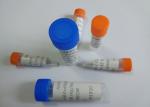 Urine Specimen Mouse Anti-Morphine Monoclone Antibody Drug of Abuse For IVD