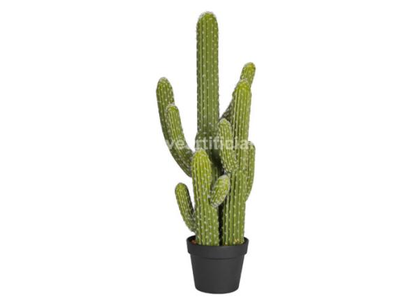 Buy cheap Eco-Friendly Plastic PE Faux Ever Greenery Fake Cactus Plant OEM ODM from wholesalers
