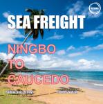 Buy cheap 27 Days Sea Freight Shipping Agency From Ningbo To Caucedo Dominican Republic from wholesalers
