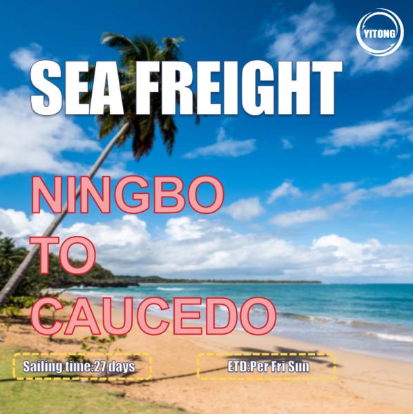 Buy cheap 27 Days Sea Freight Shipping Agency From Ningbo To Caucedo Dominican Republic from wholesalers