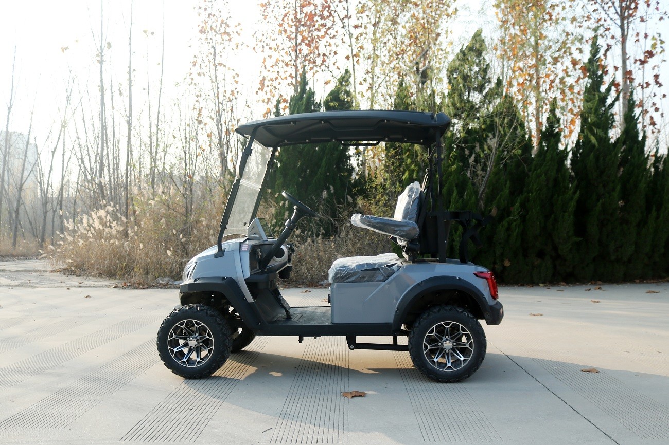 Comfortable Big Seat 2 Seat Electric Custom Golf Cart Mobility Four-Wheeled Scooter For Any Age