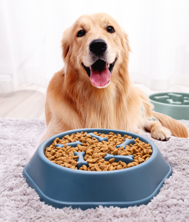 Pet Slow Feeder Dog Bowl Plastic Anti-Gulping Food Plate Feeding Dogs and Cats Bowls