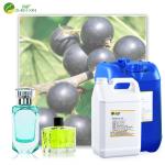 Famous Designer Perfume Brand Oils Perfume For Men And Women Factory Supply
