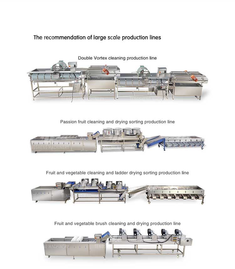 Commercial Seafood Blast Freezer Equipments for Fish in Malaysia