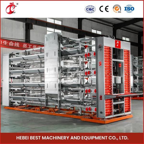 Buy cheap 380V 5 Tier Automatic Chicken Layer Cage Equipment for Laying Eggs Ada from wholesalers