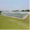Buy cheap Galvanized Steel Pipe Plastic Film Greenhouse Agricultural Multi Span from wholesalers
