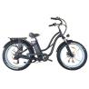 Buy cheap Step Thru Ebike 7 Speed Electric City Bike 48V 500W 750W Electric Bike 26*4.0 Fat Tire Electric Bike For Ladies from wholesalers