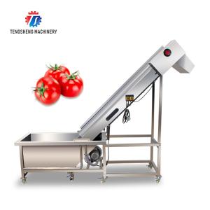 Buy cheap 0.375KW Industrial Vegetable Processing Machine Citrus Passion Fruit Pre - Foaming Elevator Machine from wholesalers