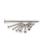 OEM Supported Stainless Steel M3.5 Metric Thread Black Self Tapping Screw with