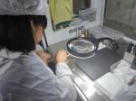 Protective Lens Of Fiber Laser Welding Head Consumable Parts Handheld Laser Head