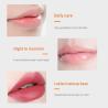 Buy cheap Natural Moisturizing Lip Balm Repair Exfoliating Organic Plumper Vegan Lip Balm Daily Care from wholesalers