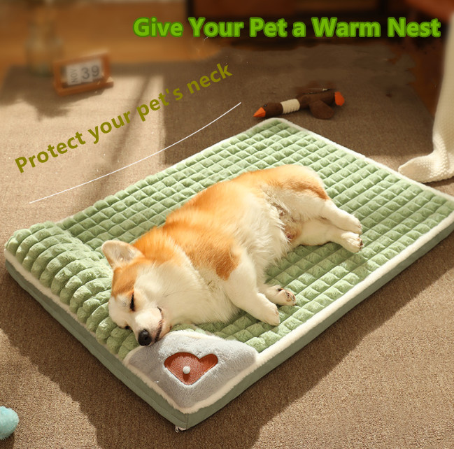 thin dog bed