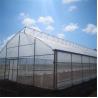 Buy cheap Width 10m 8m Tunnel Plastic Sawtooth Top Vent Greenhouse For Strawberry Growing from wholesalers