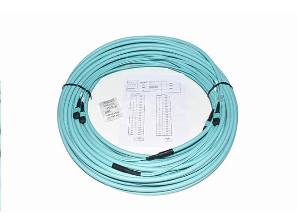 Buy cheap 24 Fiber 100G OM4 MTP/MPO Backbone Trunk Cable Patch Cords from wholesalers
