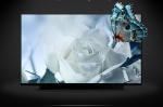 M133NVF3 R0 IVO 13.3" 1920(RGB)×1080, 300 (cd/m²) INDUSTRIAL LCD DISPLAY