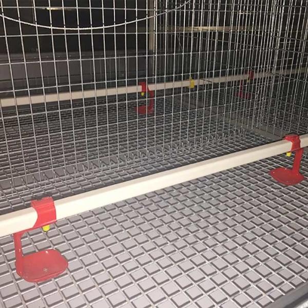 Buy cheap Manual Feeding System Poultry Chicken Cage For Baby Chick 20 Years Life Span from wholesalers