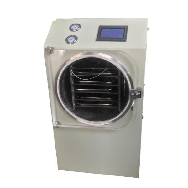 8kgs Vertical Small Freeze Dryer SUS304 Mini Freeze Drying Apparatus Easy