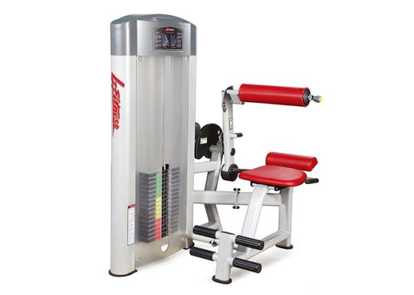 Buy cheap Commercial Grade Gym Life Fitness Strength Equipment For Back Extension from wholesalers