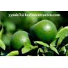 Buy cheap Hesperetin 98%,95% HPLC Light yellow needle crystal pure herbal ingredients from wholesalers