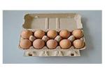 Rotary Paper Egg Tray Machine 600 - 1220 mm For Food Container 200mm Height
