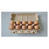Buy cheap Rotary Paper Egg Tray Machine 600 - 1220 mm For Food Container 200mm Height from wholesalers