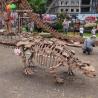 Buy cheap Park Decoration Dinosaur Skeleton Replica Life Size Sunproof from wholesalers