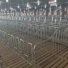 Buy cheap Disc Chain Conveying Swine Farm Equipment Pig House from wholesalers