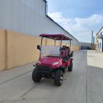 4+2 Seat Golf Cart Appearance Fashionable Design High-End Hot Sales 3.5/4/7Kw