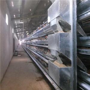 Buy cheap Chicken Farm Automatic Poultry Feeder System Fast Conveying Speed Land Saving from wholesalers