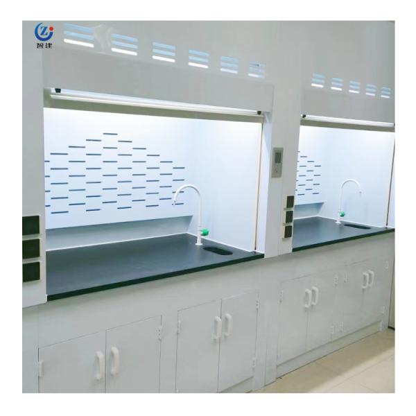Buy cheap High Airflow Steel Fume Hood With LED Lighting Safety ISO Certified from wholesalers