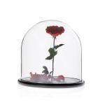 Customized Glass Homeware Dome Display Handblown Vintage Victorian Style