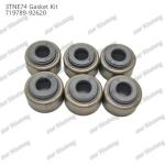 Full Gasket Kit 3TNE74 719789-92620