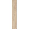 Buy cheap Balcony Outdoor Tile Flooring Wooden Texture 200 X 1200 X 10mm Beige Color from wholesalers