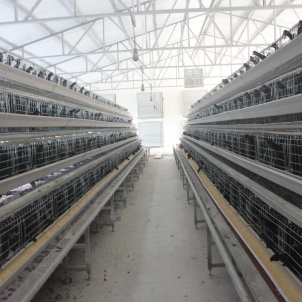Buy cheap Manufacturers Battery Egg Layer Chicken Farm Poultry Laying Hens Cages from wholesalers
