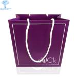 Luxury Hot Stamping Kraft Paper Gift Bags With Handles PMS Printing