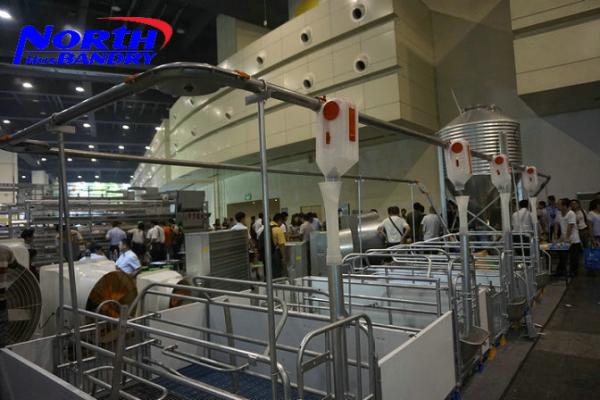 Quality pig farming equipments pig crate for sales for sale