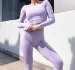 Knitted Seamless Nylon Sportswear Tracksuits Women Long Sleeve Crop Top