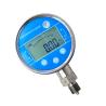 Buy cheap 4 Inch 600 Bar Digital Pressure Gauge 100mm For Laboratory Calibration Pump from wholesalers