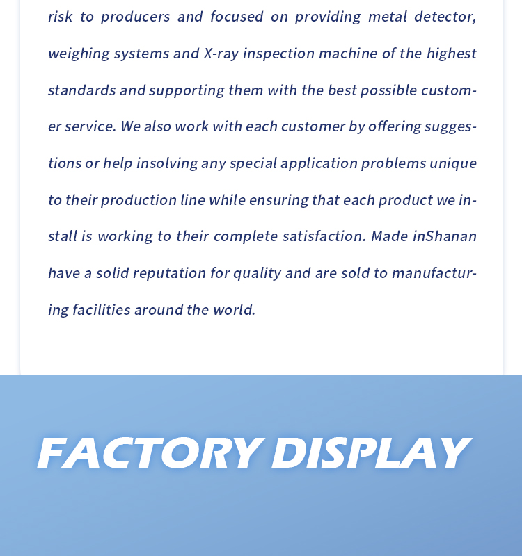 Plastic Rubber Meat Biscuits Snacks Conveyor Frozen Food Industrial Metal Detector