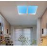 Buy cheap Fashion Blue Sky Light Led Panel DC48V For Indoor House from wholesalers