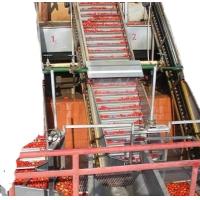 Buy cheap 4000-6000bph Fruit Juice Filling Production Line For Apple Juice /Orange Juice / product