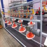 Buy cheap 99g Chick Line Feeder Automatic Poultry Feeder System For Farming from wholesalers
